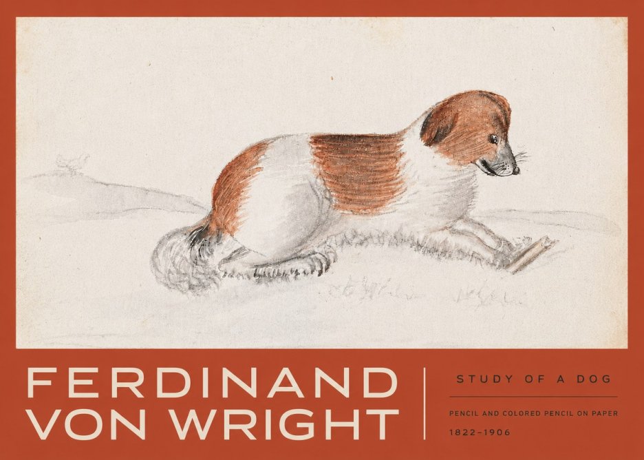 Ferdinand von Wright Study of a Dog No3 - Juliste