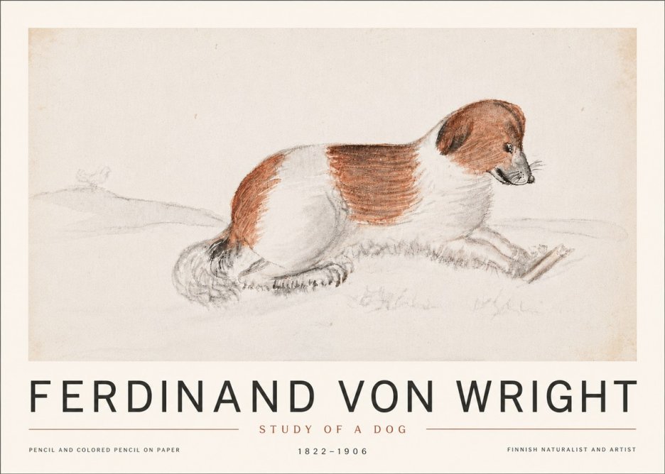 Ferdinand von Wright Study of a Dog No6 - Juliste