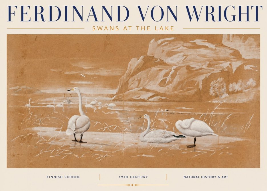 Ferdinand von Wright Swans at the Lake No4 - Juliste