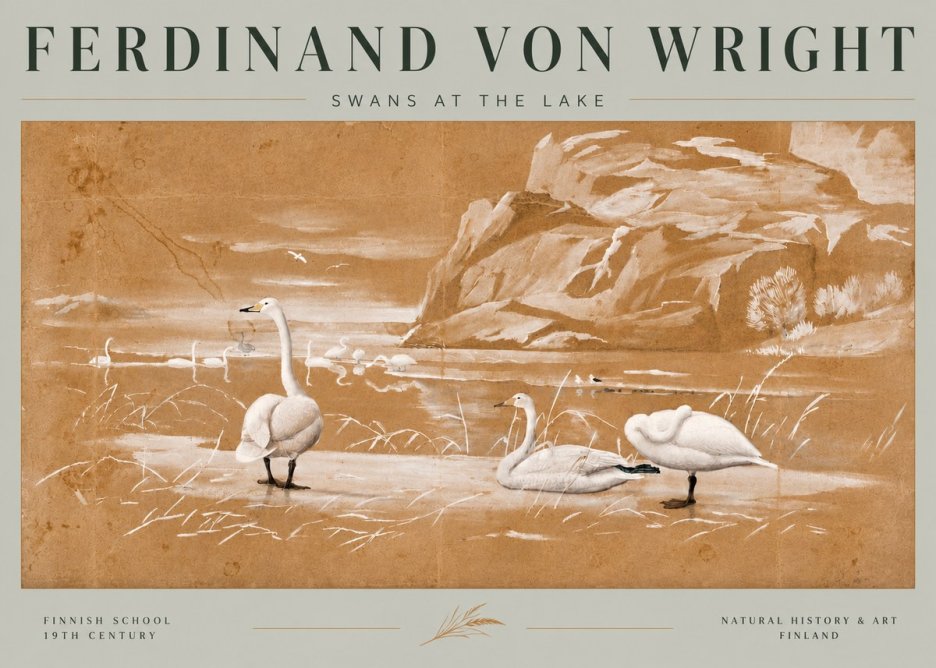 Ferdinand von Wright Swans at the Lake No6 - Juliste
