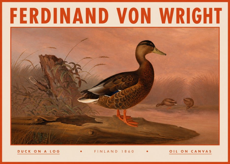 Ferdinand von Wright Wild Duck No5 - Juliste