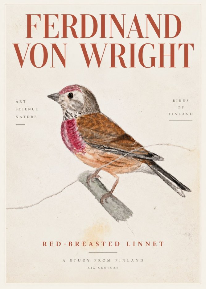 Ferdinand von Wright Bird Study No5 - Juliste
