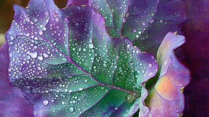 Uploaded
wallpaper