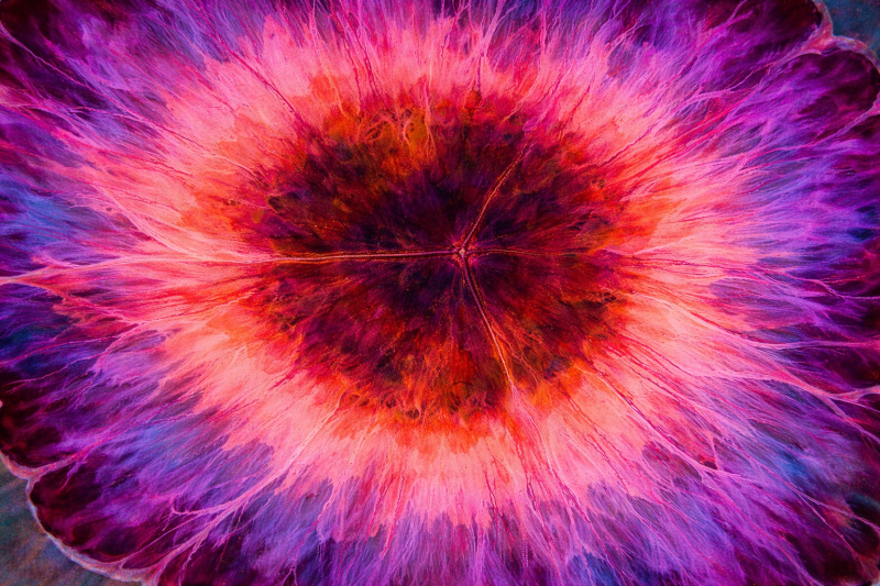 Uploaded
wallpaper