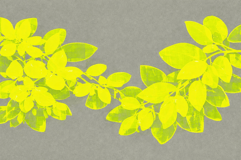 Uploaded
wallpaper
