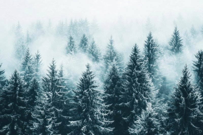 Uploaded
wallpaper