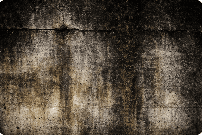 Uploaded
wallpaper