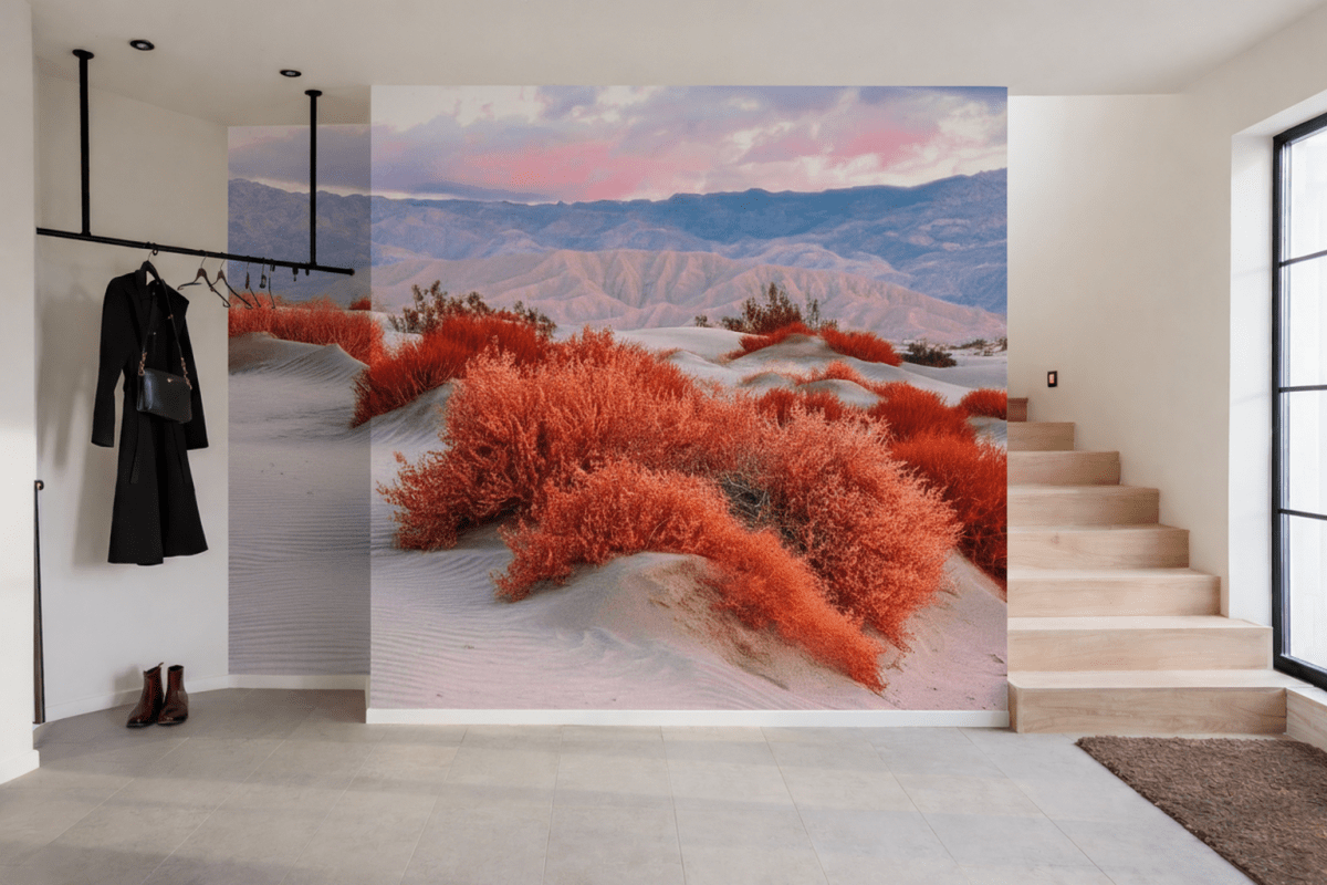 Sundrenched Terracotta