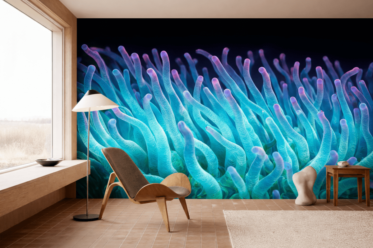 Coral Reefs Tundra