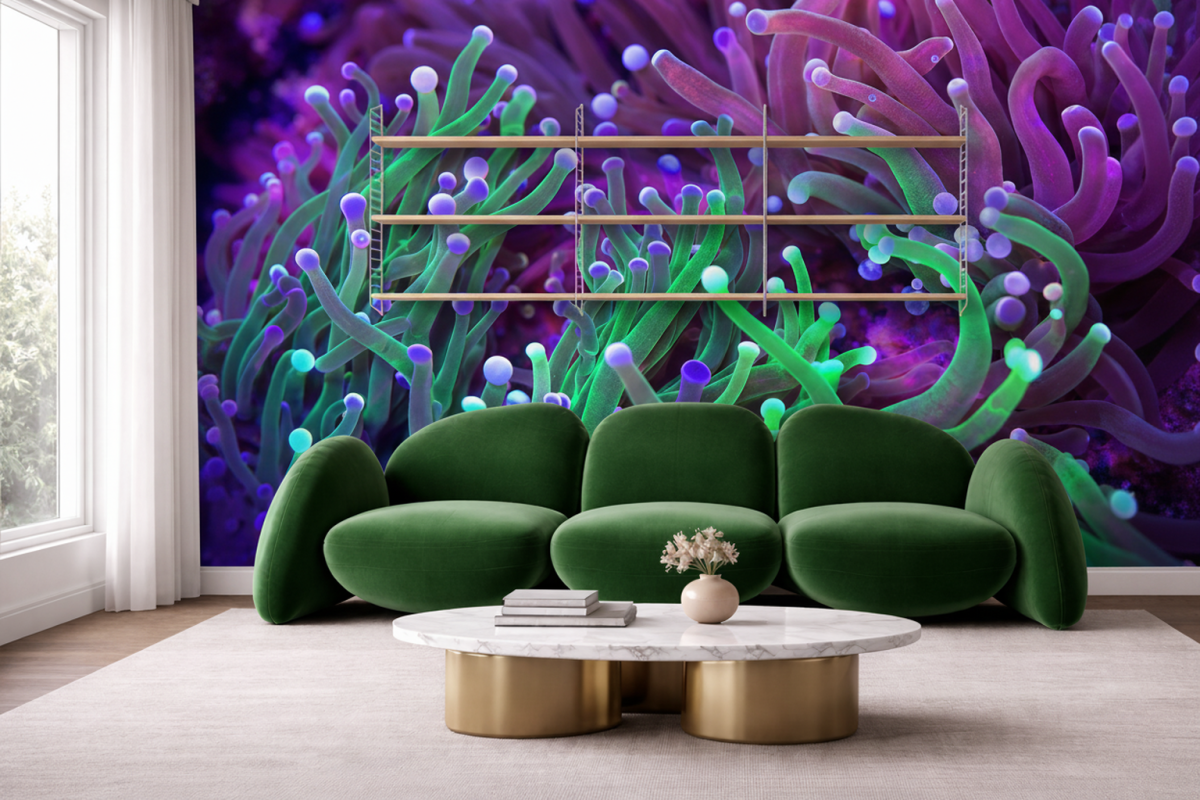 Anemone Symphony