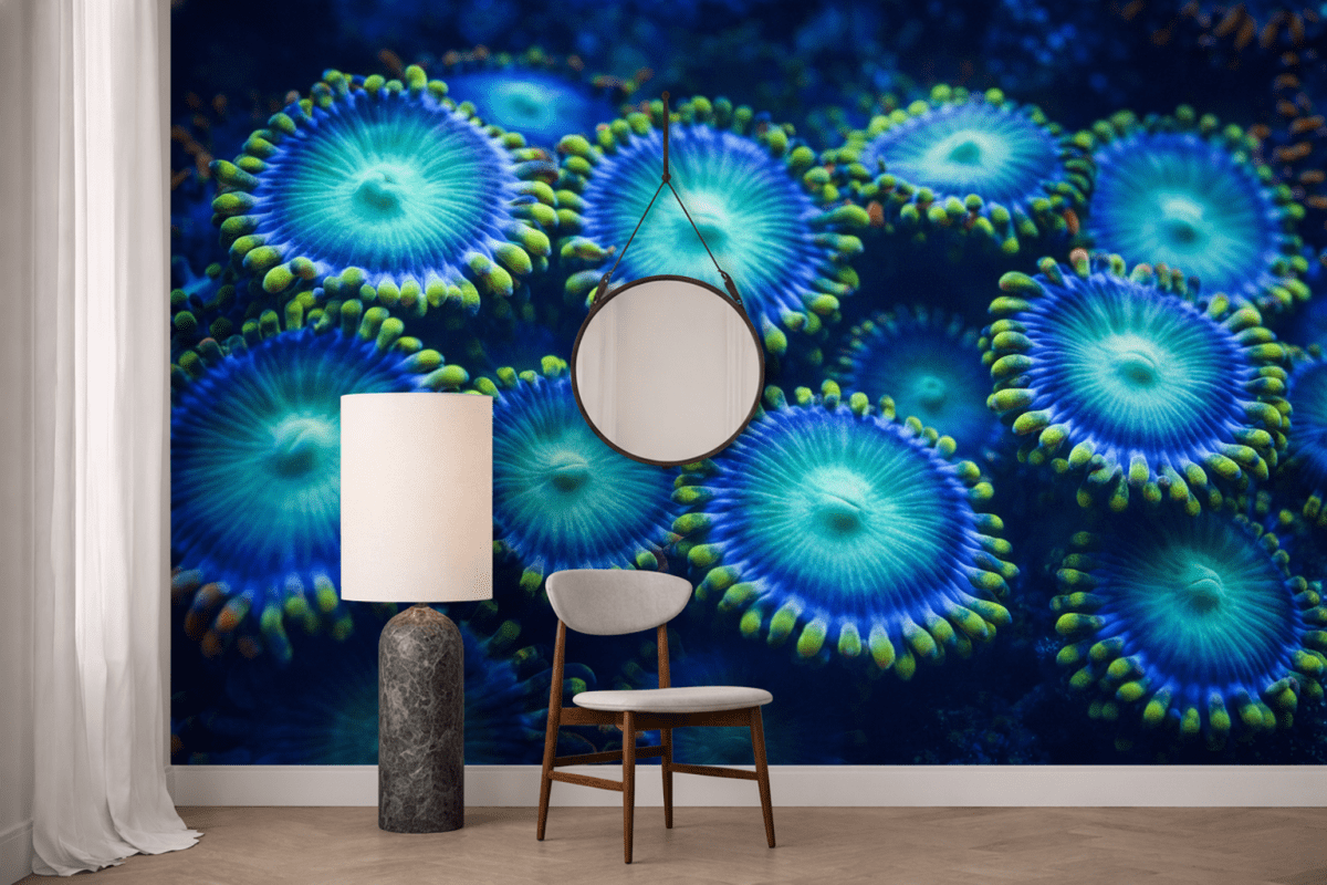 Coral Kaleidoscope