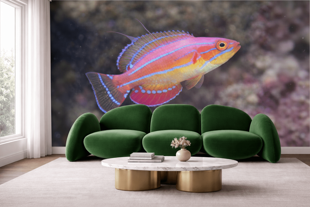 Vivid Coral Mirage
