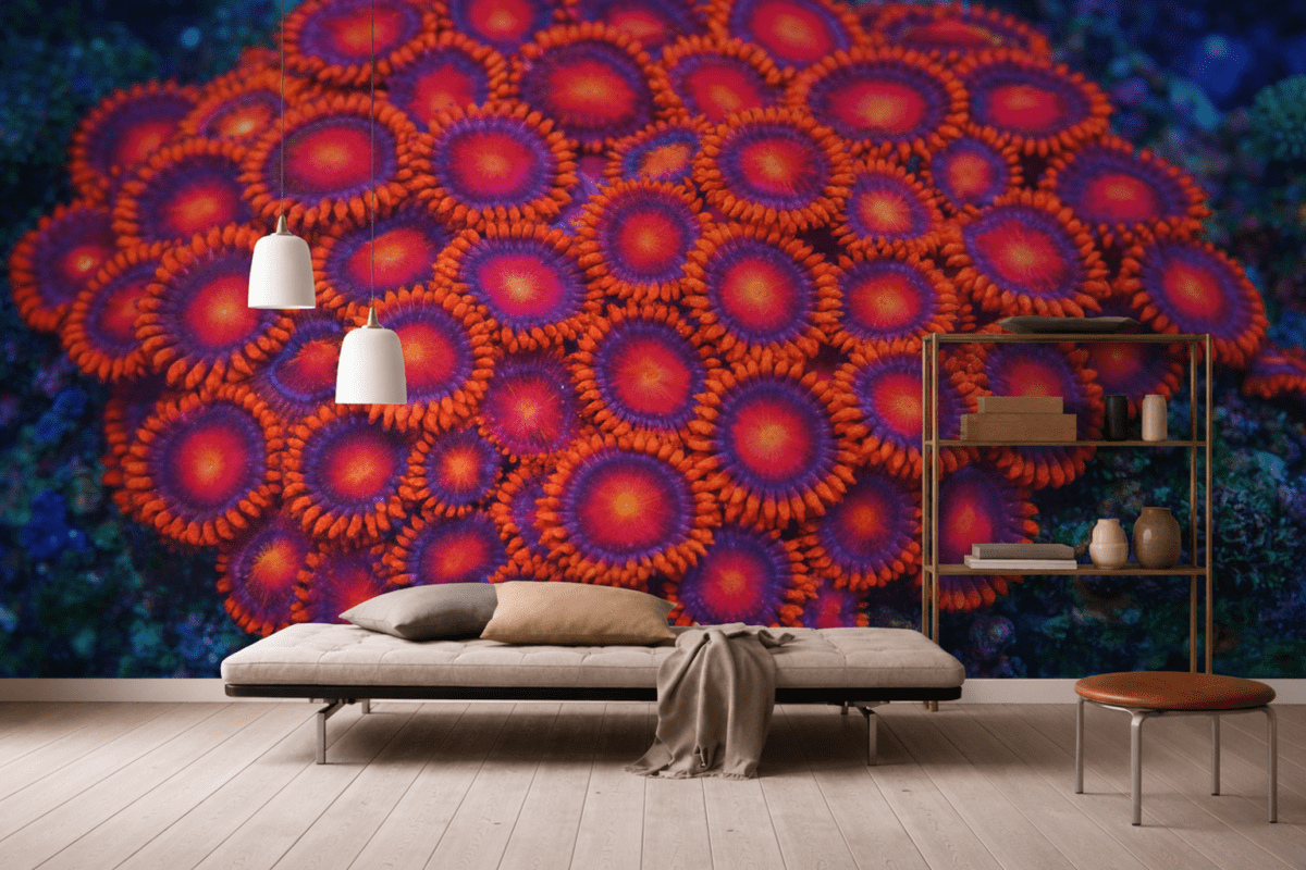 Rippled Coral Cluster