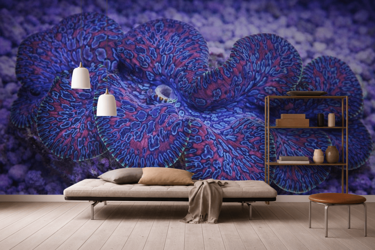 Coral Wave Abstraction