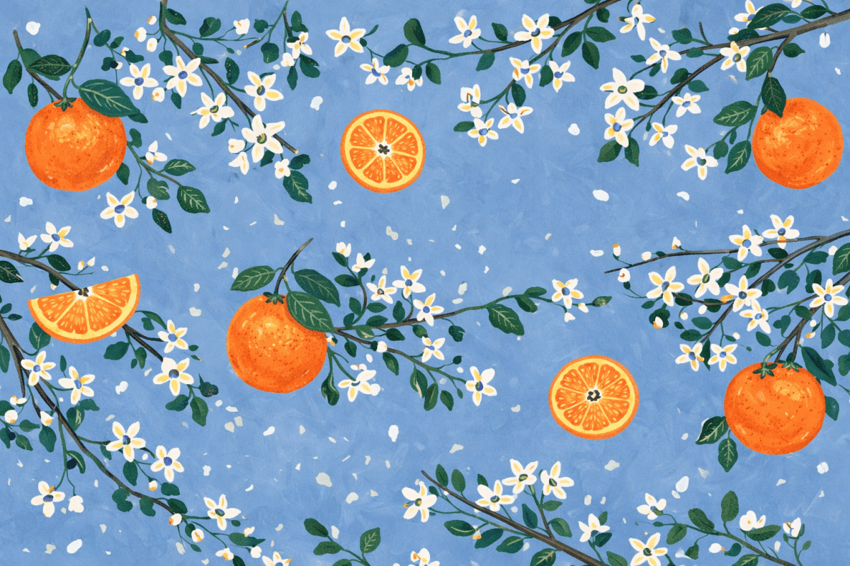 Citrus Bloom