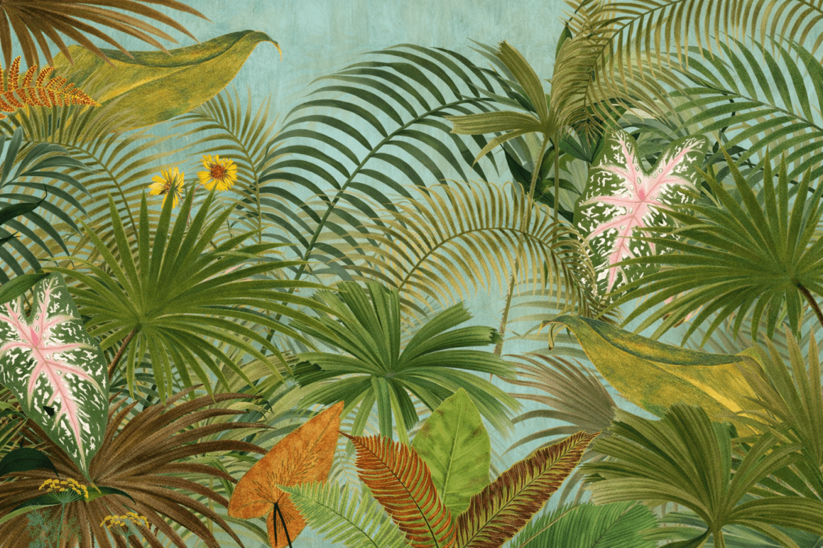 Tropical Quartz Veil