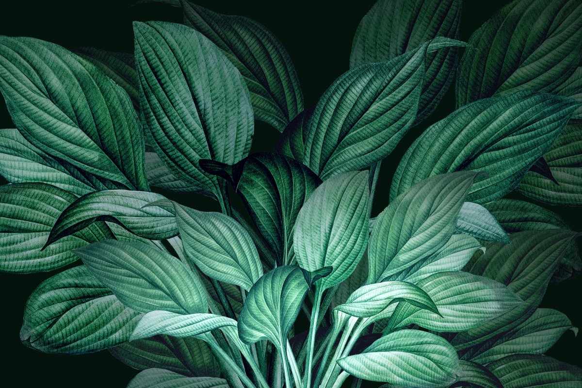 Foliage Embrace