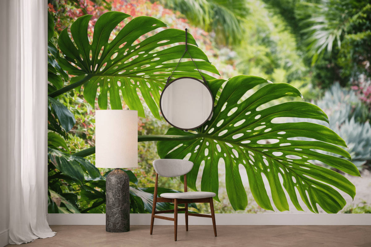 Monstera Mirage
