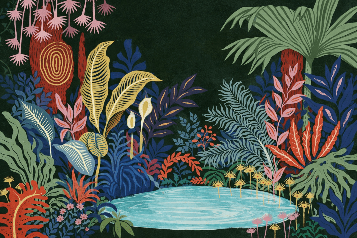 Enchanted Lagoon