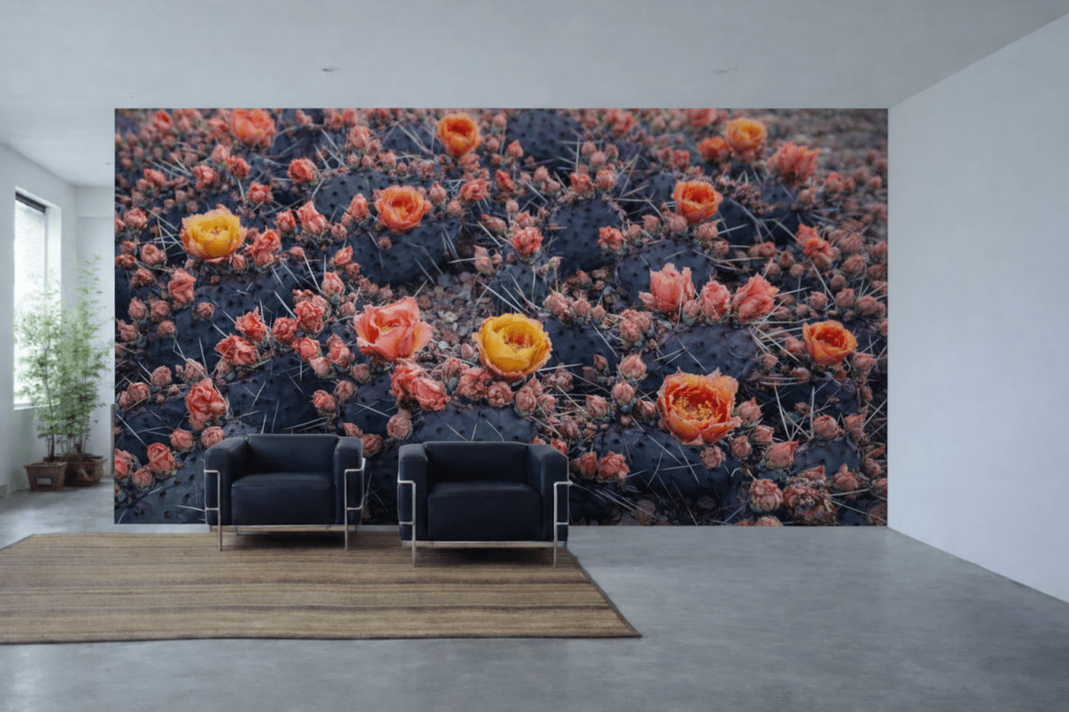 Cactus Blossom Oasis