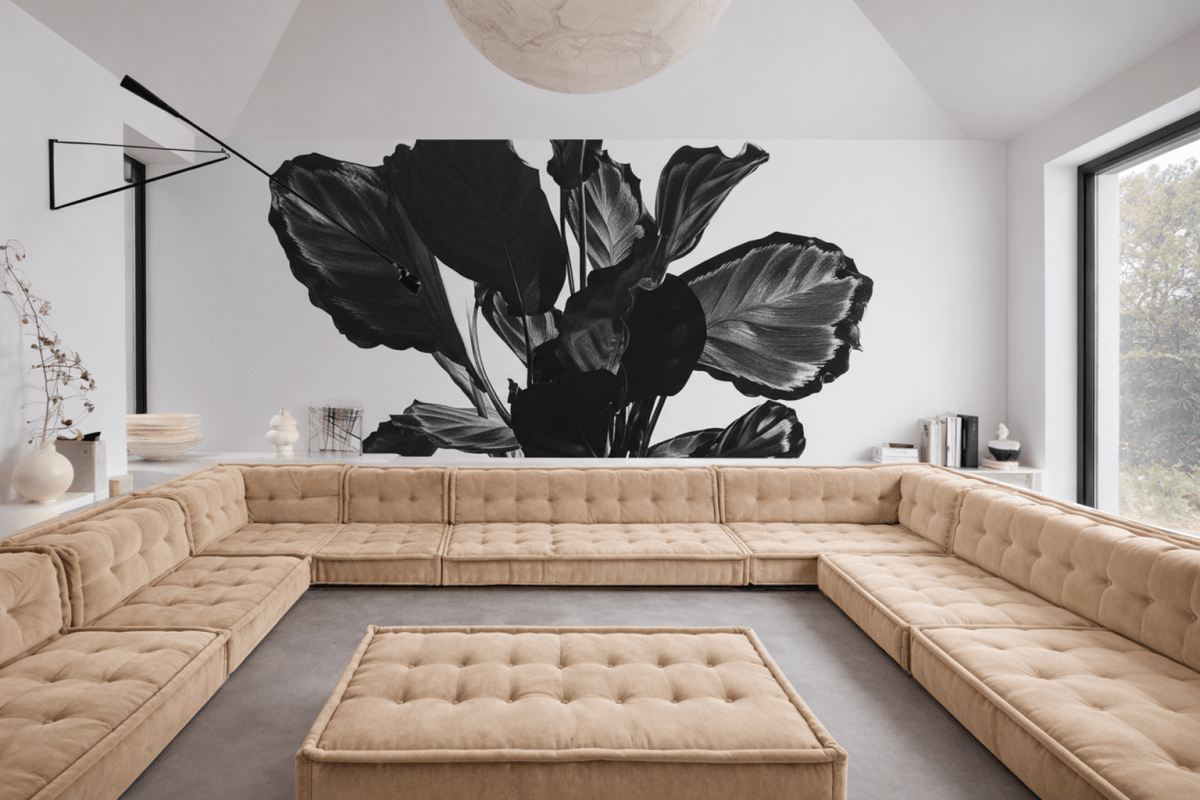 Silhouette Fern