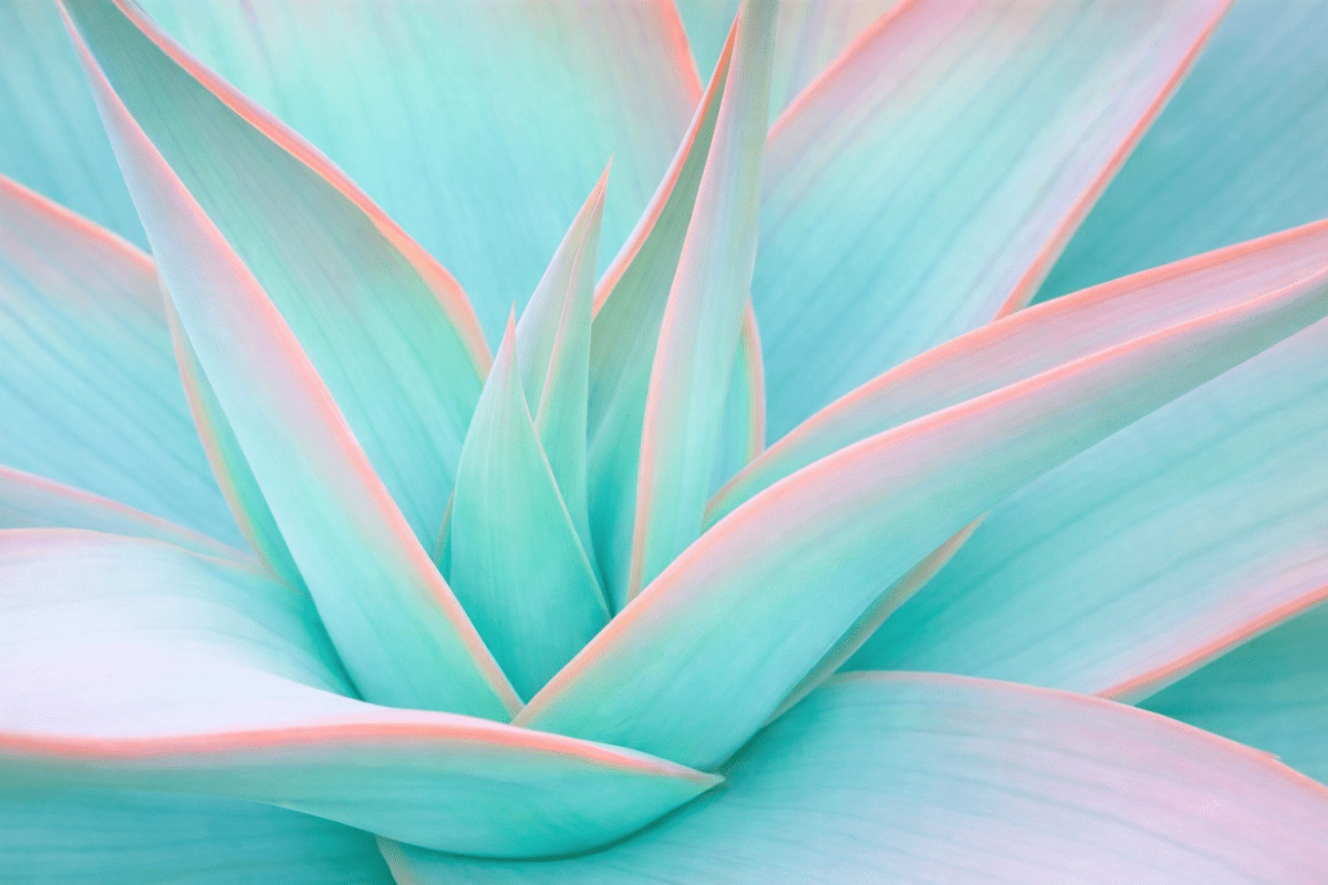 Sculpted Dune Leaves