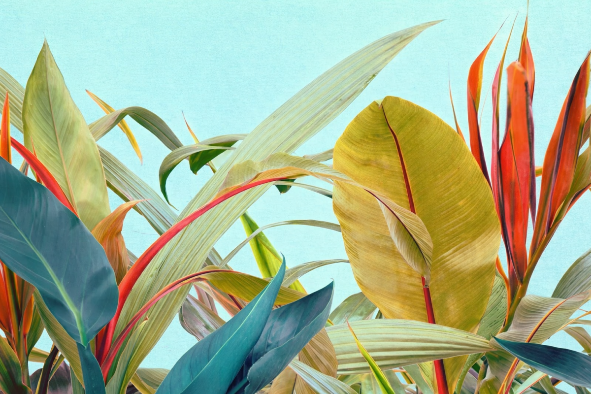 Verdant Inkscape