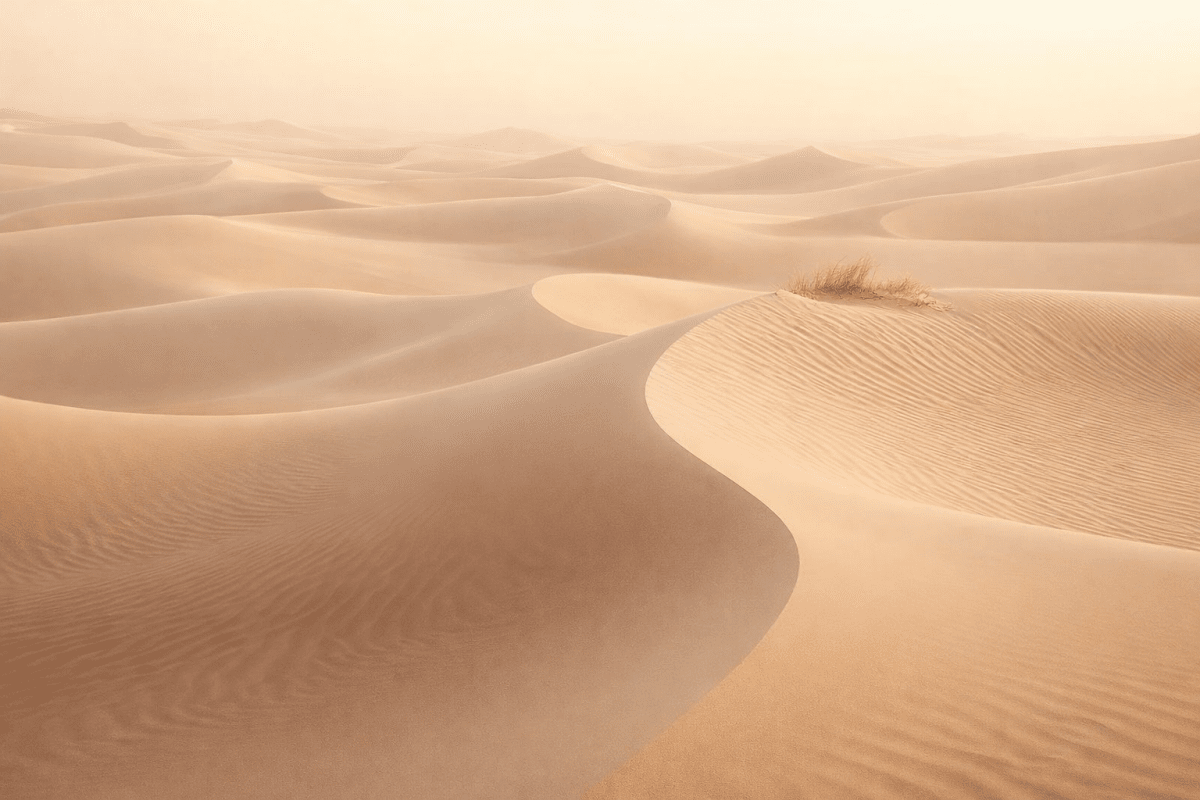 Sculpted Sandscape