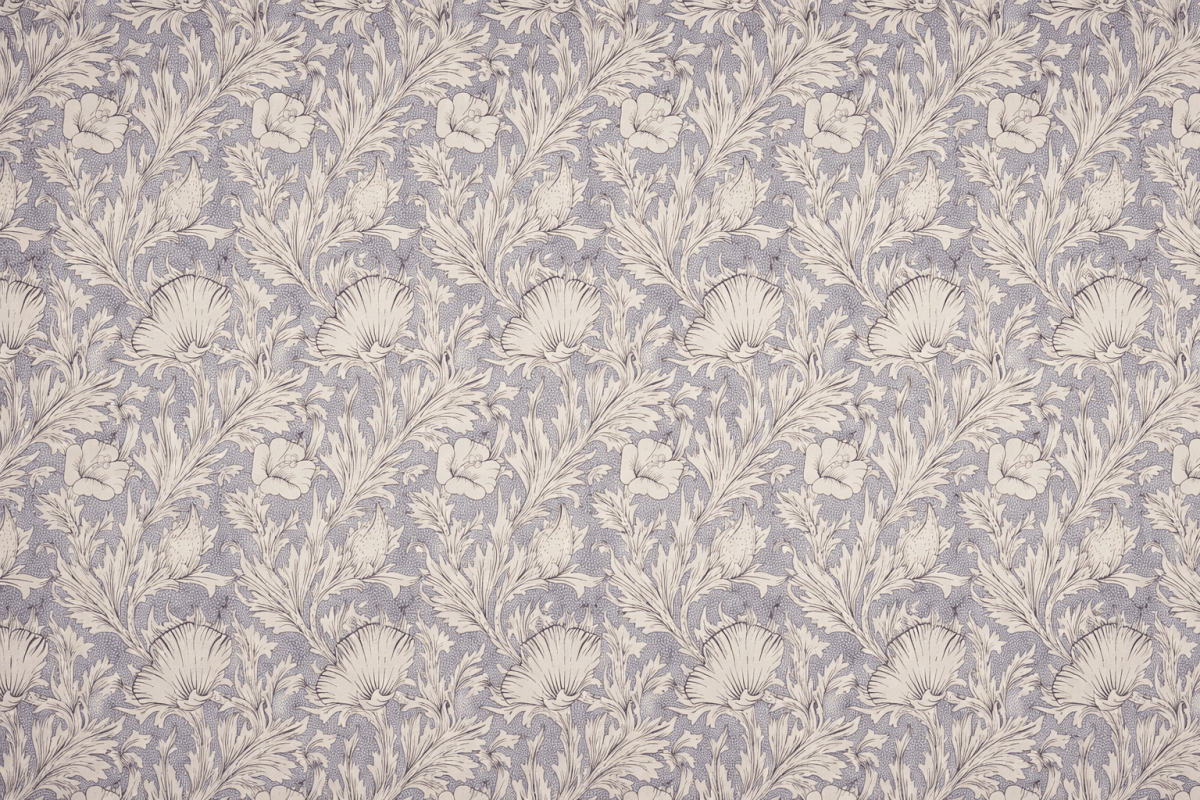 Shellflower Berceuse