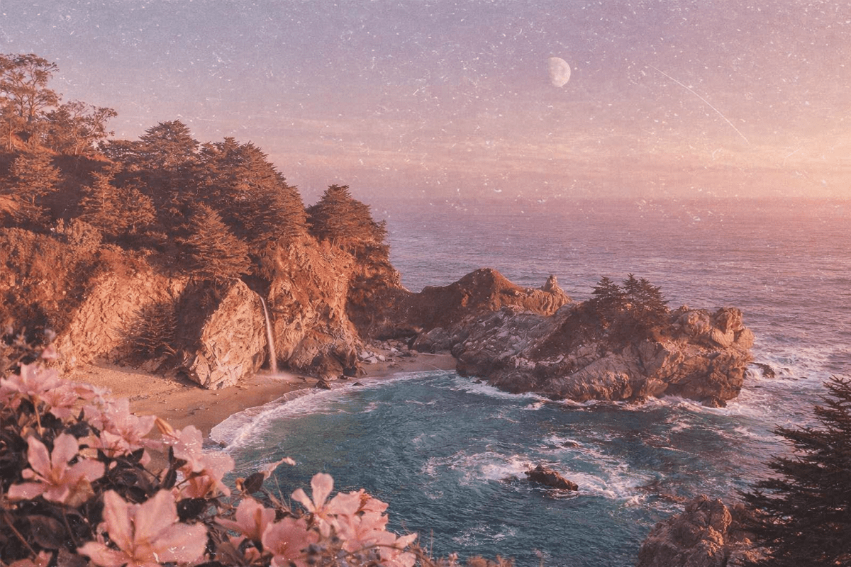 Tidal Blossom Cove