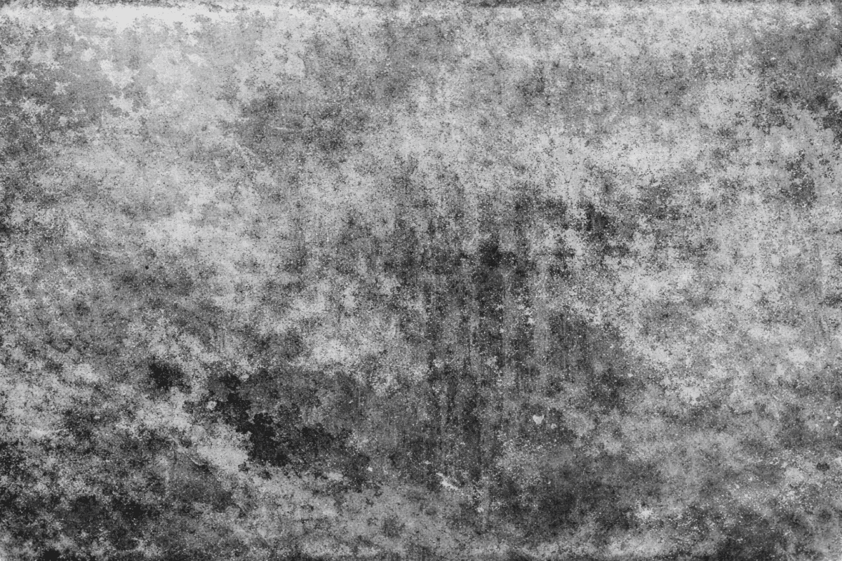 Dune Canvas
