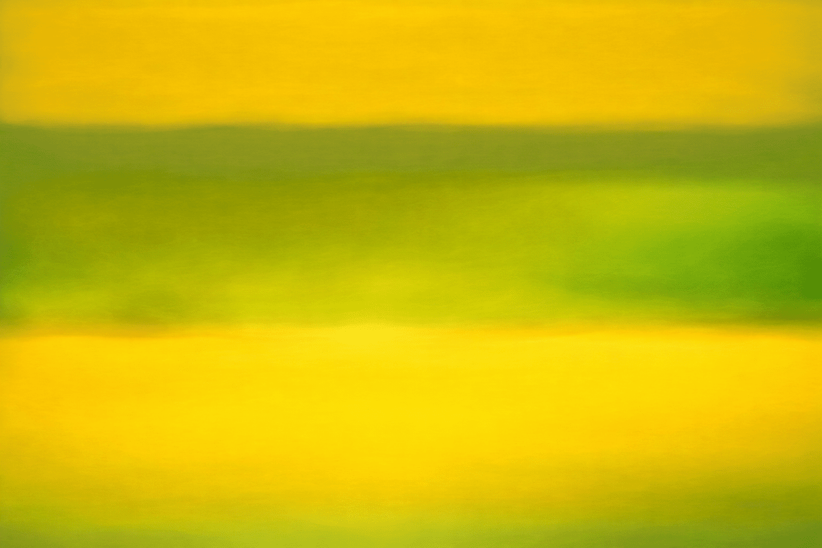Lemon Veldt