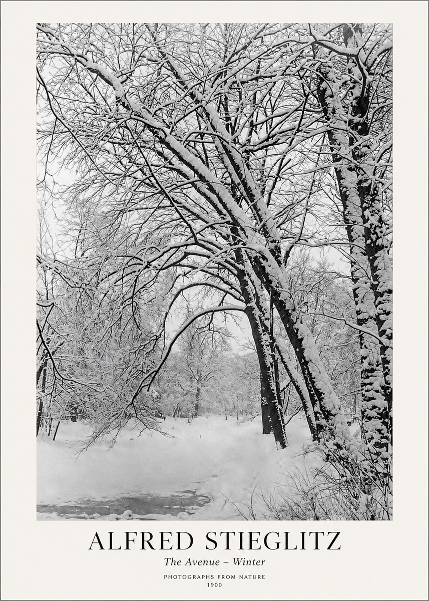 Alfred Stieglitz The Avenue – Winter No1 - Juliste