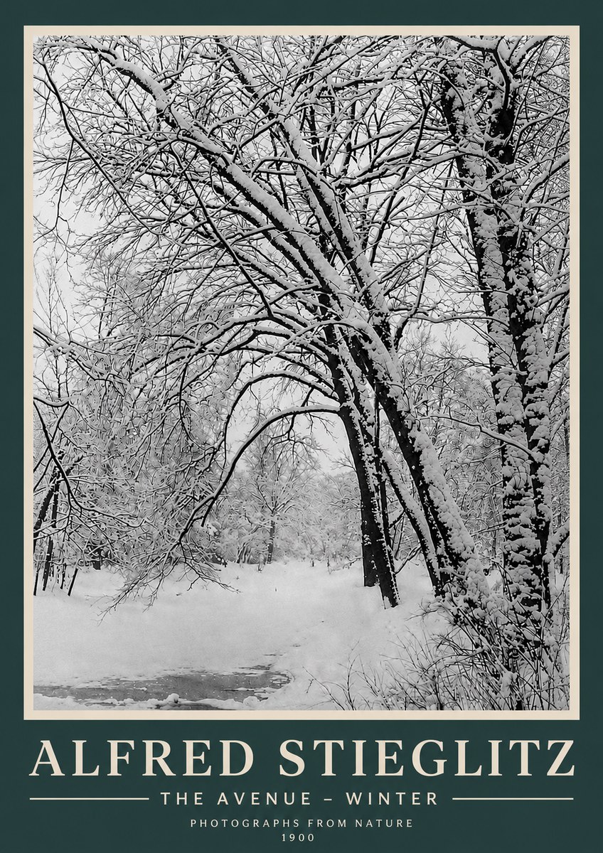 Alfred Stieglitz The Avenue – Winter No3 - Juliste