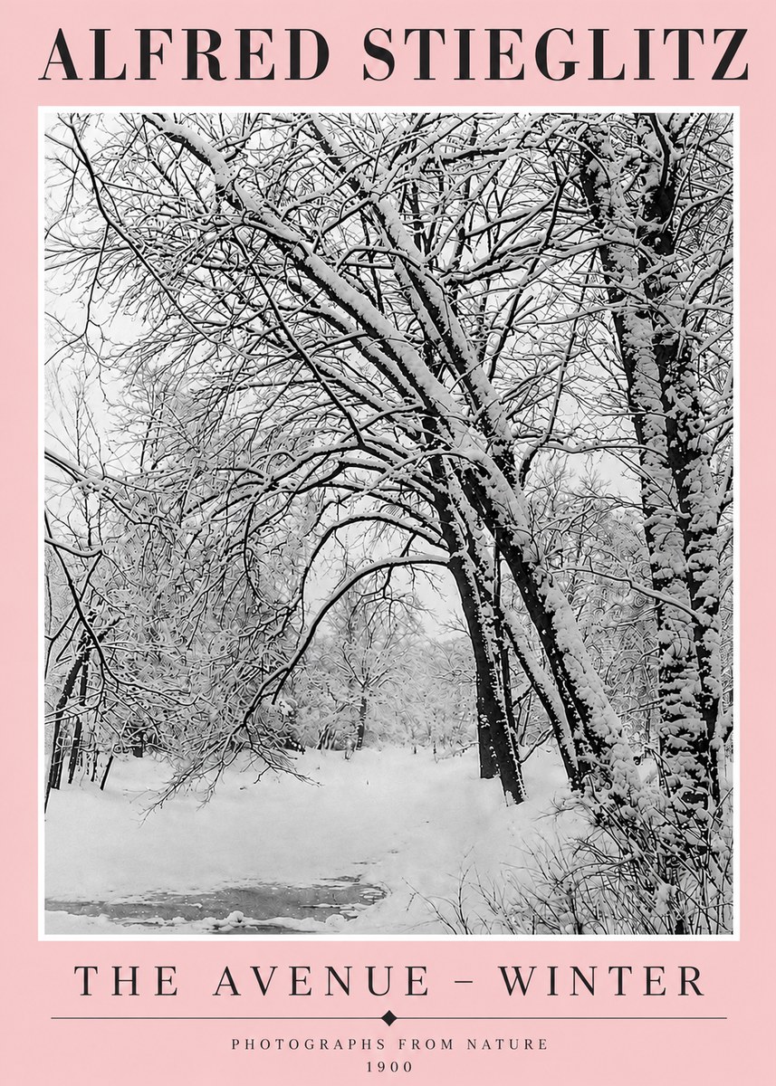 Alfred Stieglitz The Avenue – Winter No4 - Juliste