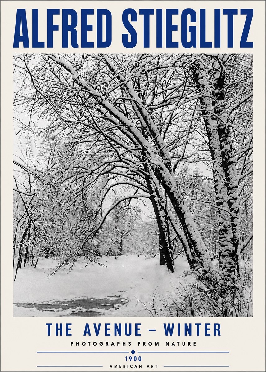 Alfred Stieglitz The Avenue – Winter No5 - Juliste