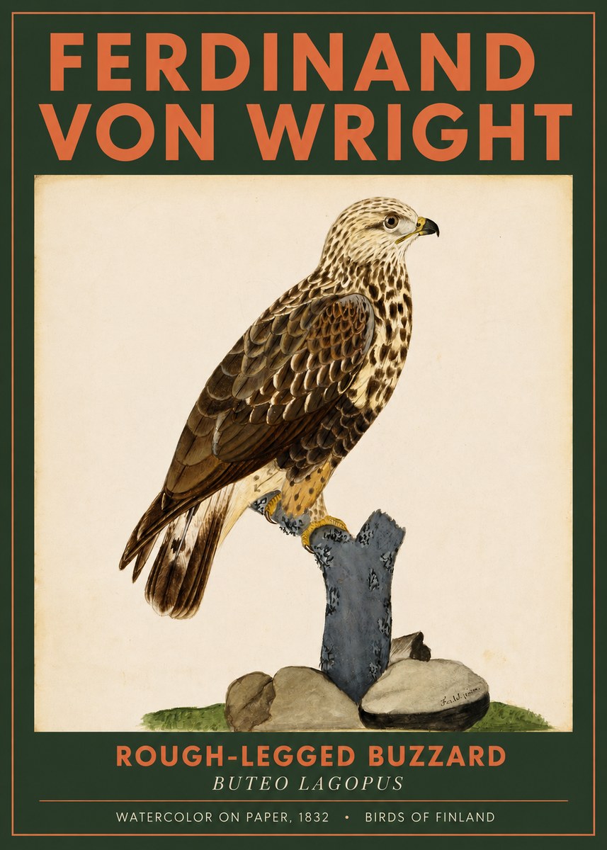 Ferdinand von Wright Rough-legged Buzzard No2 - Juliste