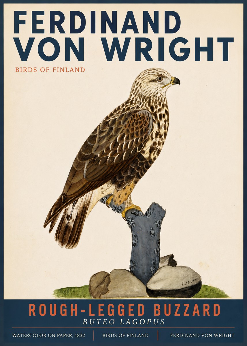 Ferdinand von Wright Rough-legged Buzzard No3 - Juliste