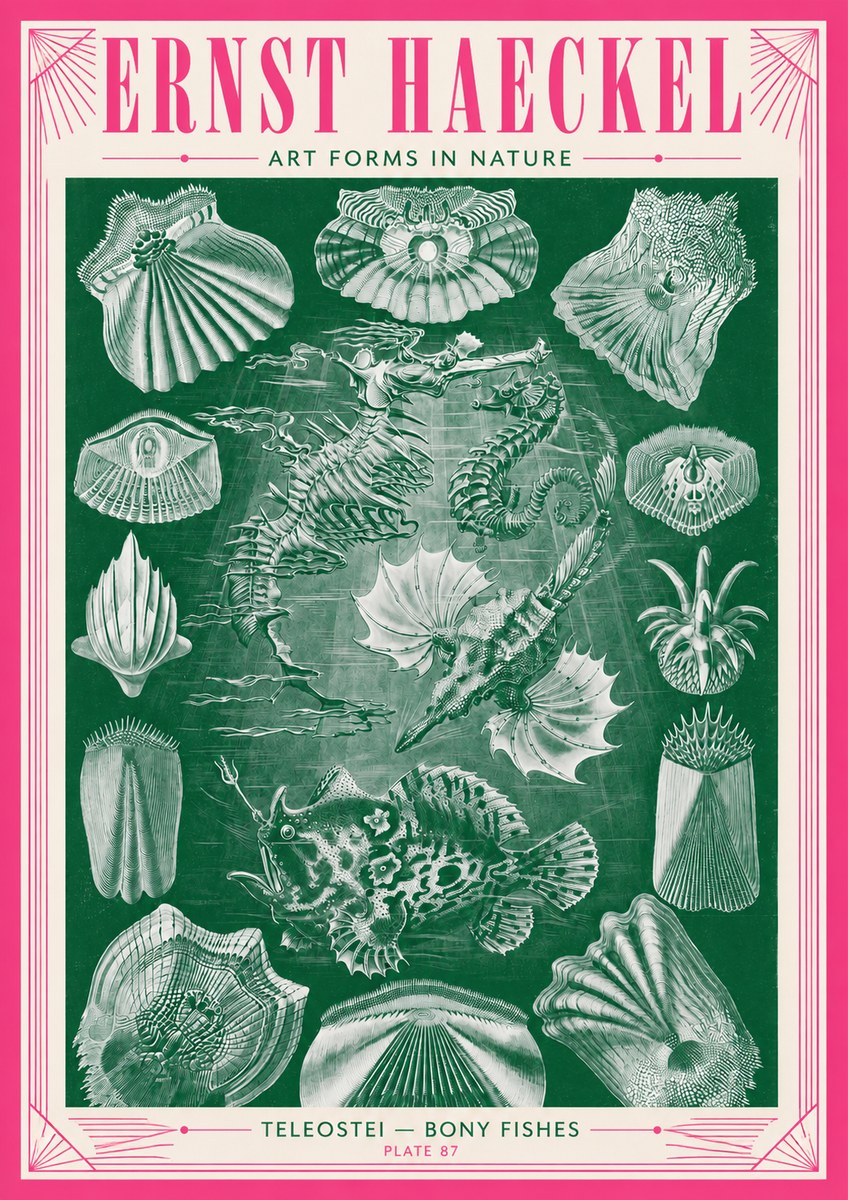Ernst Haeckel Teleostei - Bony Fishes No3 - Juliste