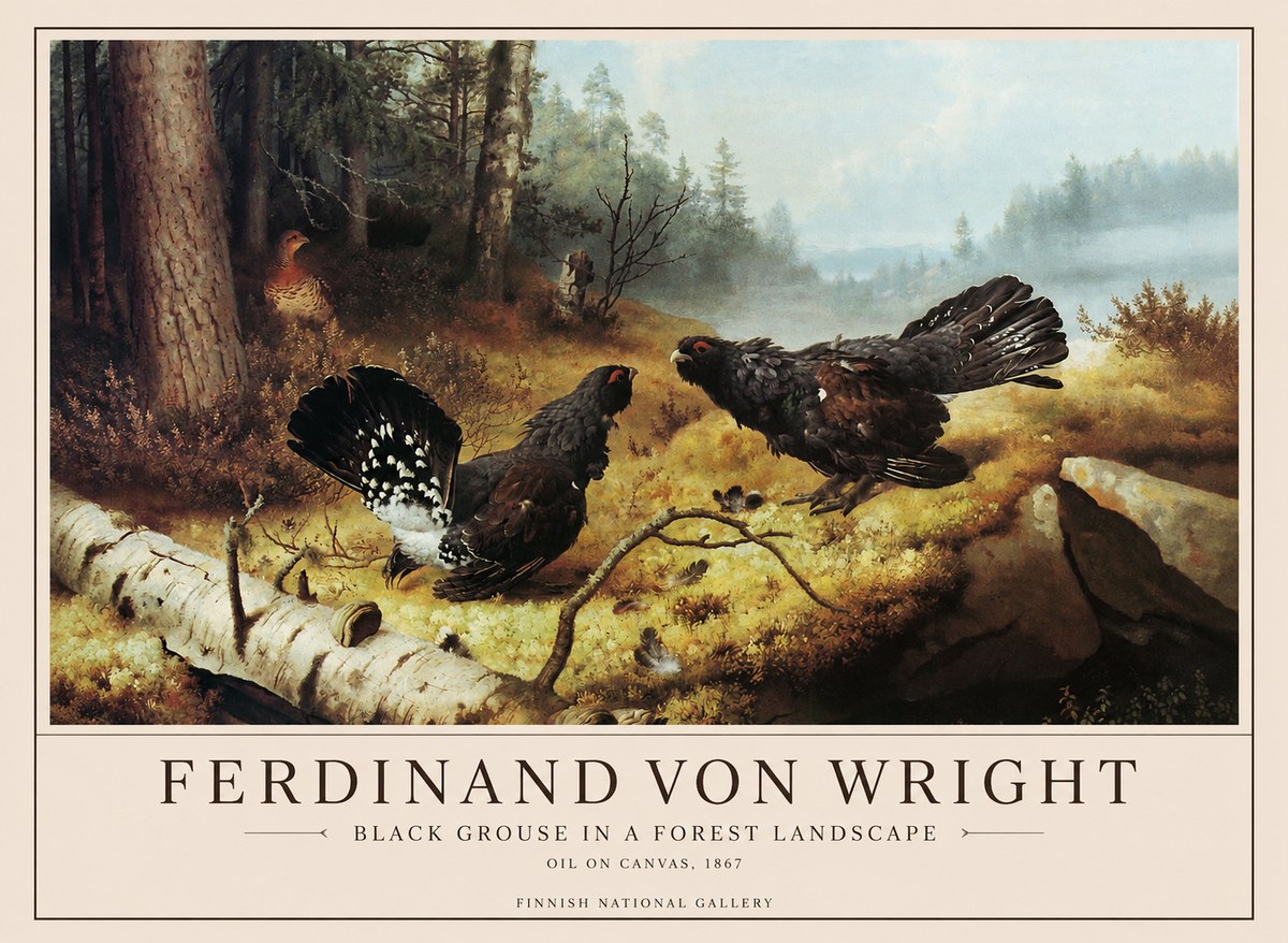 Ferdinand von Wright Black Grouse in a Forest Landscape No1 - Juliste
