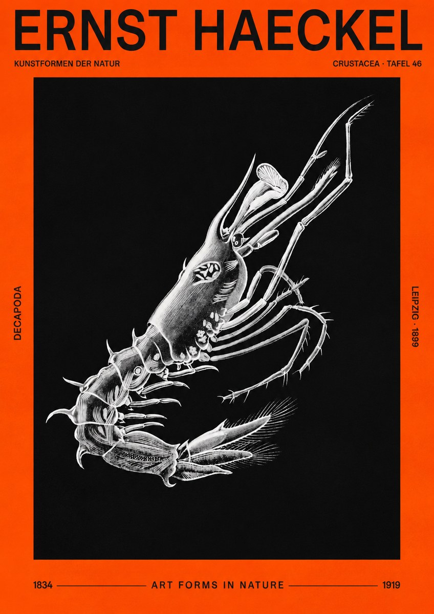 Ernst Haeckel Decapoda the Crustaceans No3 - Juliste