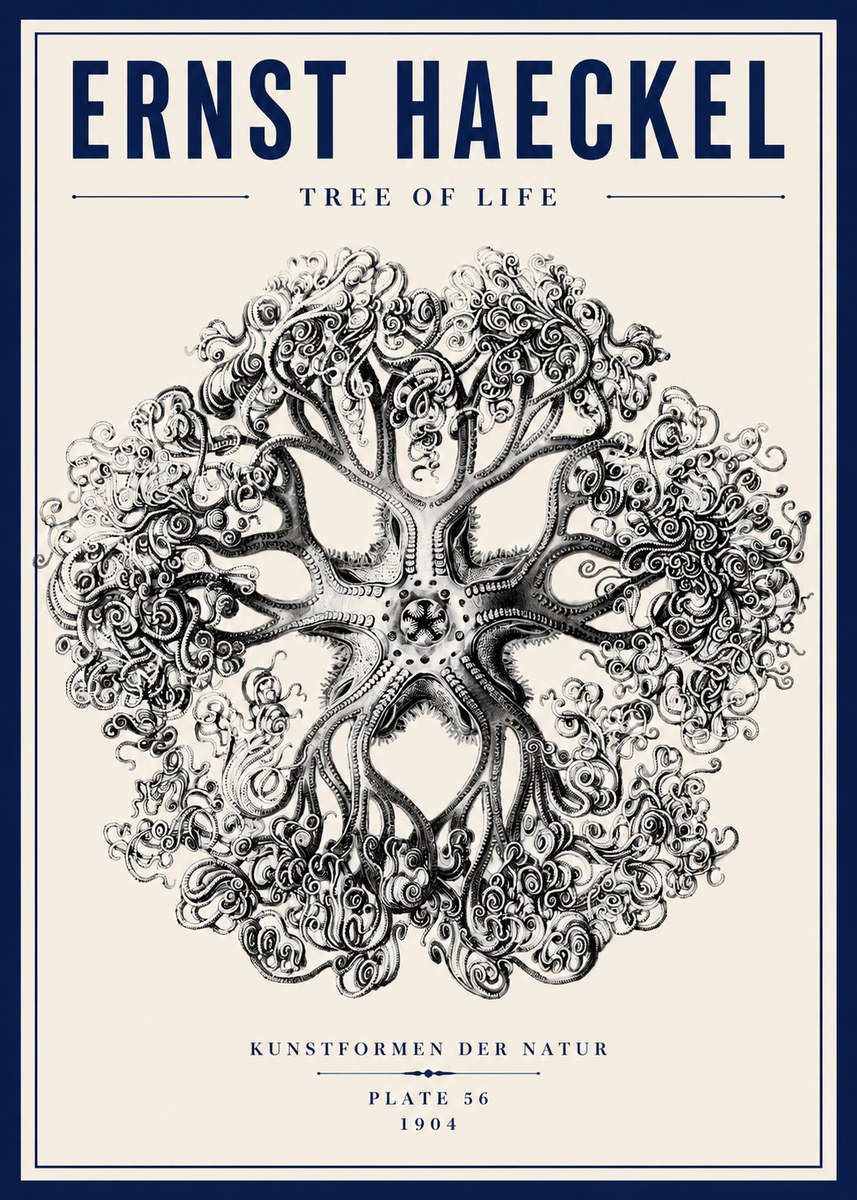 Ernst Haeckel Tree-like Organism No6 - Juliste