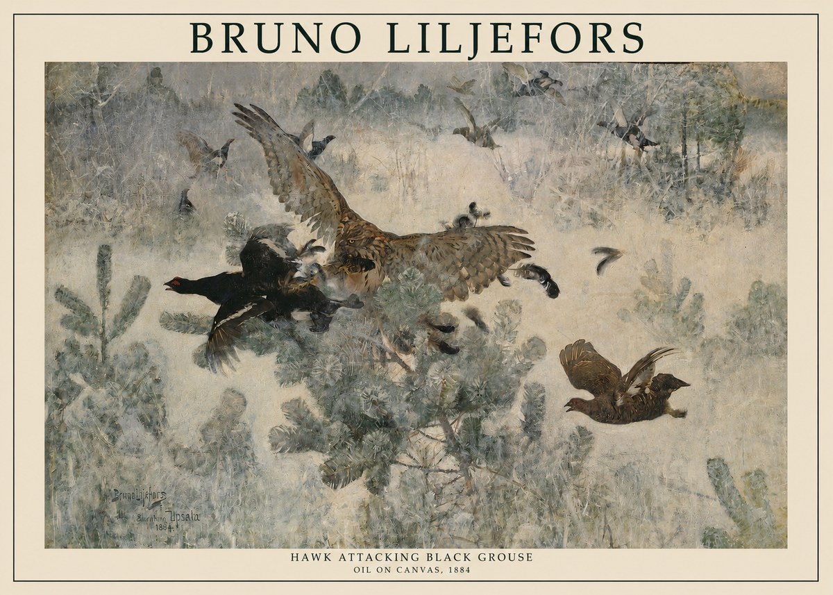 Bruno Liljefors Hawk Attacking Black Grouse No1 - Juliste