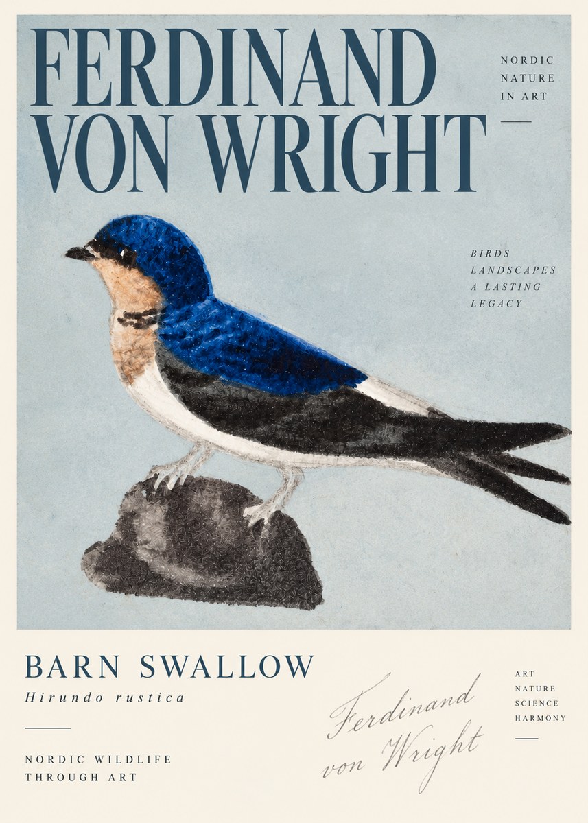 Ferdinand von Wright Swallow (Hirundo Rustica) No4 - Juliste