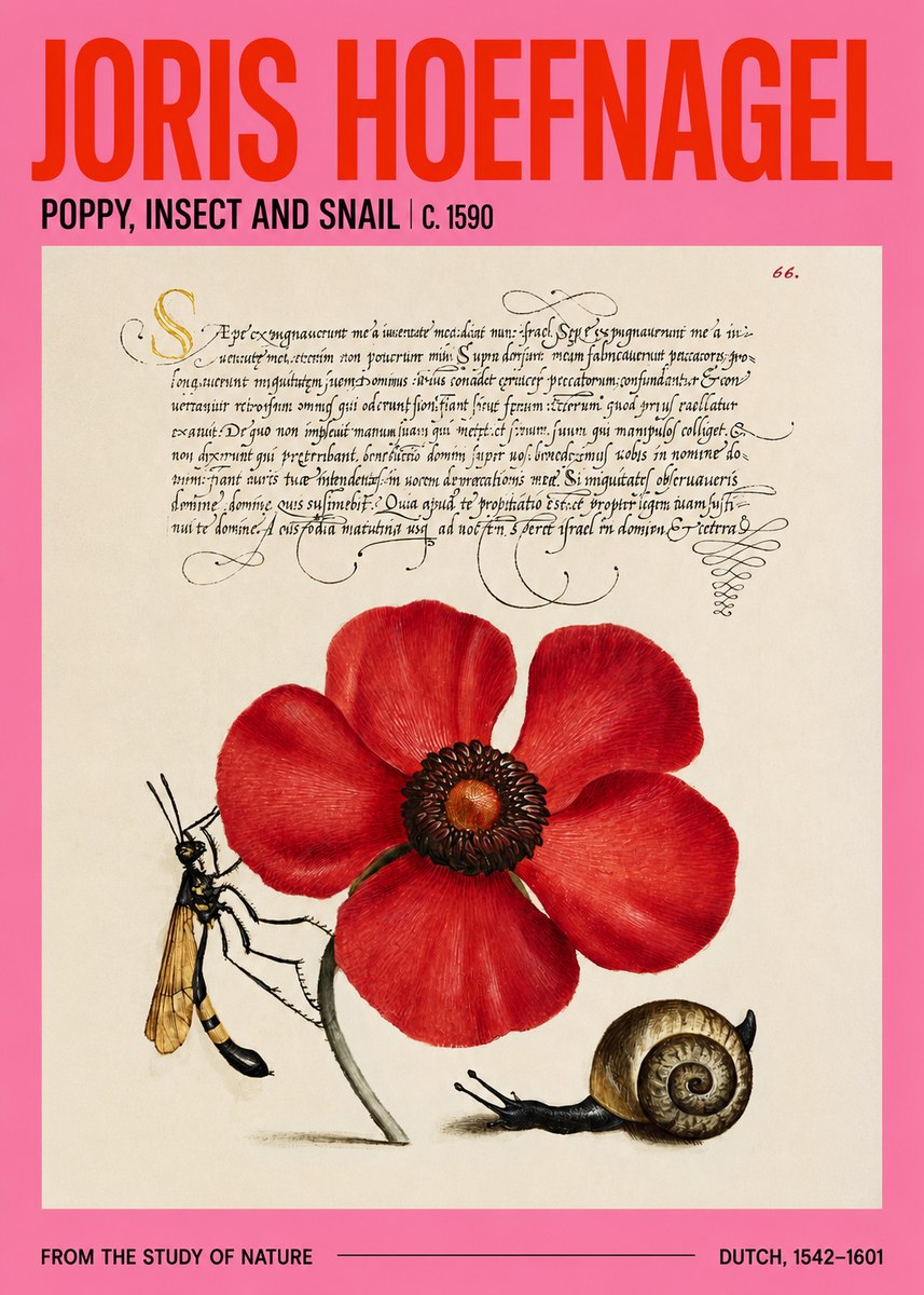 Joris Hoefnagel Poppy, Wasp & Snail No4 - Juliste