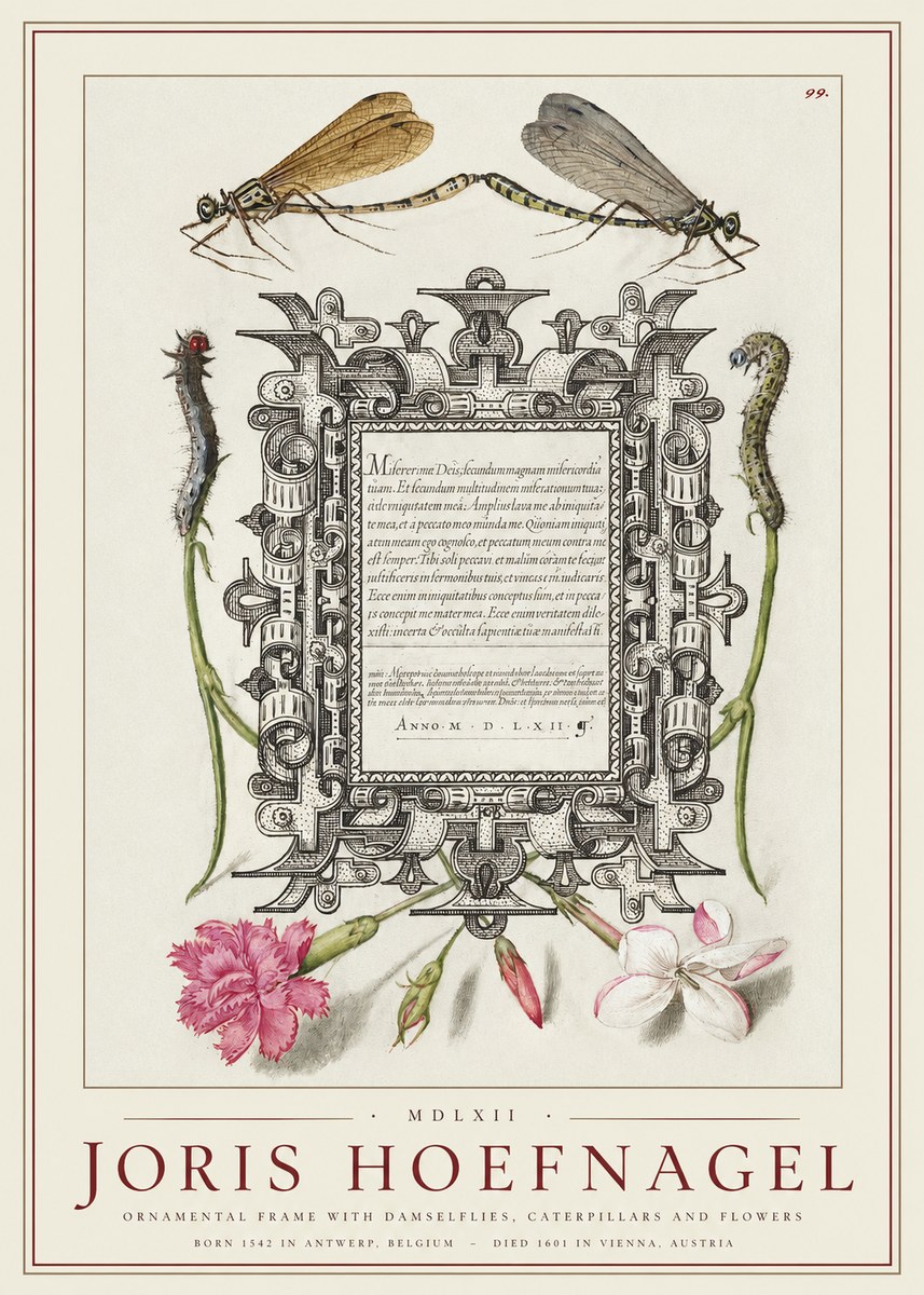 Joris Hoefnagel Ornamental Frame with Damselflies, Caterpillars and Flowers No1 - Juliste
