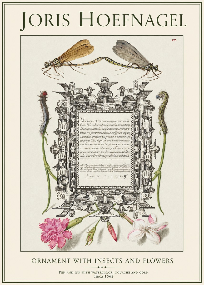 Joris Hoefnagel Ornamental Frame with Damselflies, Caterpillars and Flowers No2 - Juliste