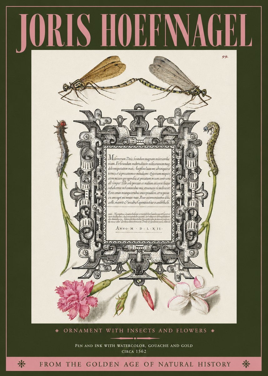 Joris Hoefnagel Ornamental Frame with Damselflies, Caterpillars and Flowers No4 - Juliste