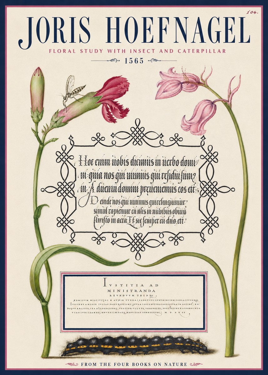 Joris Hoefnagel Floral Study with Insect and Caterpillar No4 - Juliste