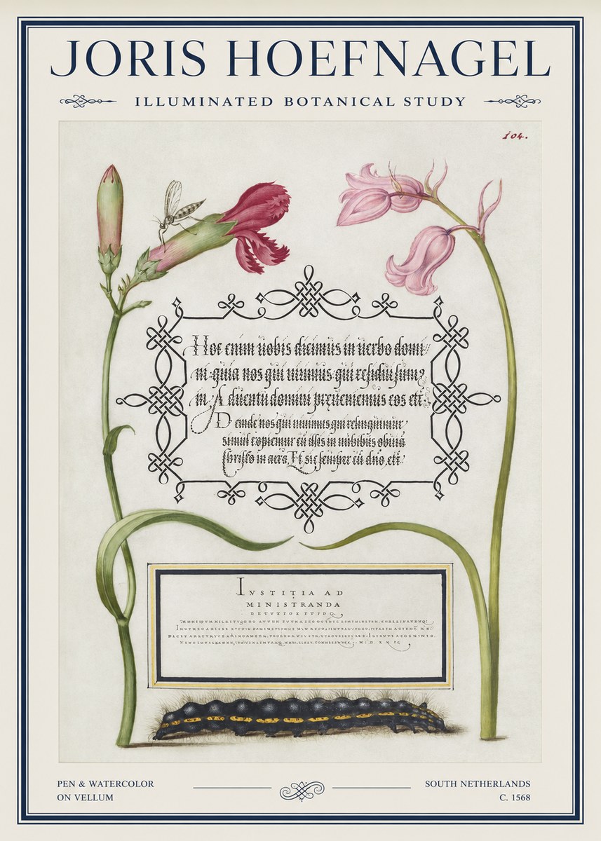 Joris Hoefnagel Floral Study with Insect and Caterpillar No5 - Juliste